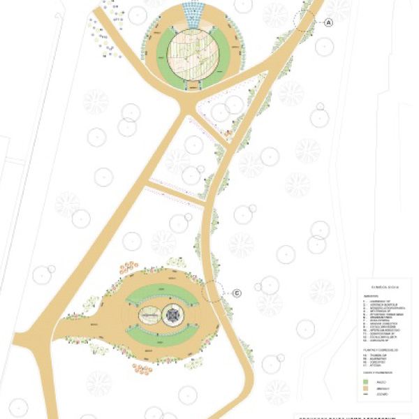 Proyecto Arboretum – Universidad de Talca