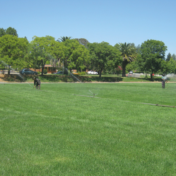 Canchas Deportivas Campus Lircay – Universidad de Talca